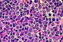 Digital Pathology