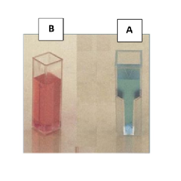 קיווטה cuvette