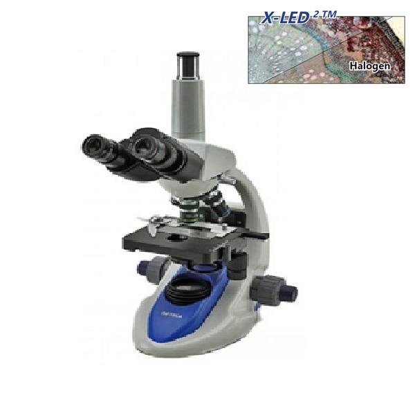 Trinocular Upright Biological Microscope מיקרוסקופ סליידים