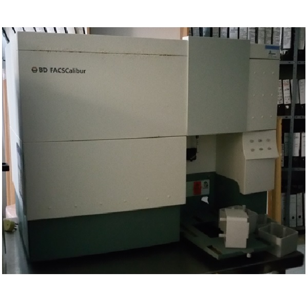 FACS Calibur Flow cytometer