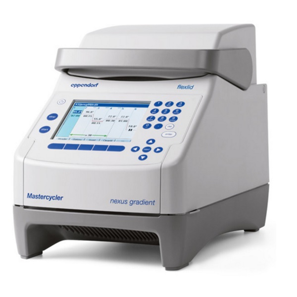 Gradient PCR 96 wells