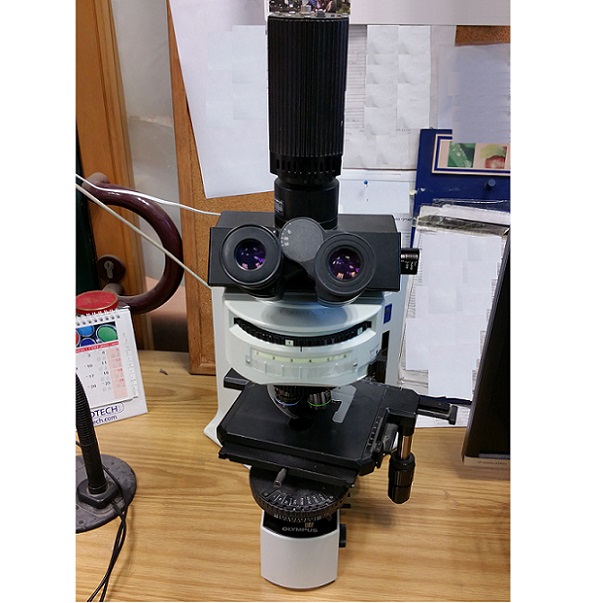 Olympus BX51 Upright microscope Fluorescent