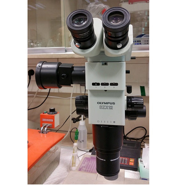 Olympus SZX12 Trinocular Stereo microscope יד שניה