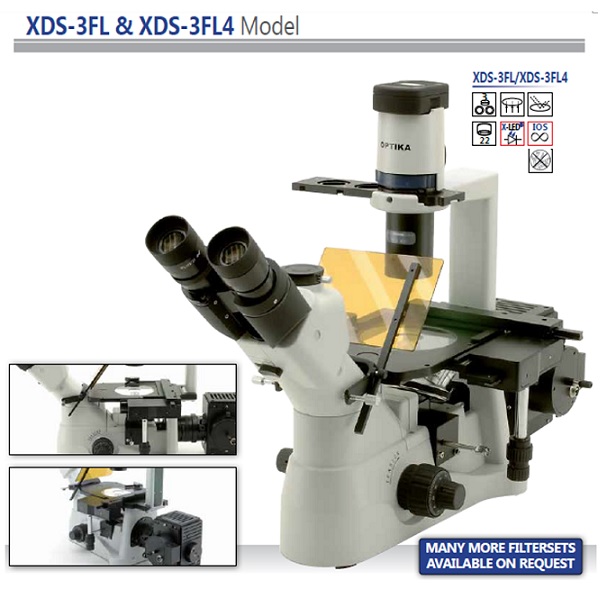 Inverted Fluorescence Microscope מיקרוסקופ הפוך אינוורטד פלורסנטי