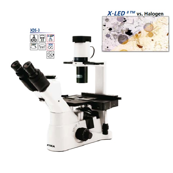 Inverted Microscope מיקרוסקופ אינוורטד הפוך