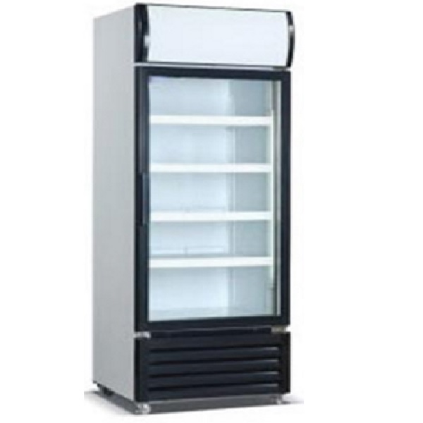 מקרר דלת זכוכית 600 ליטר Refrigerator