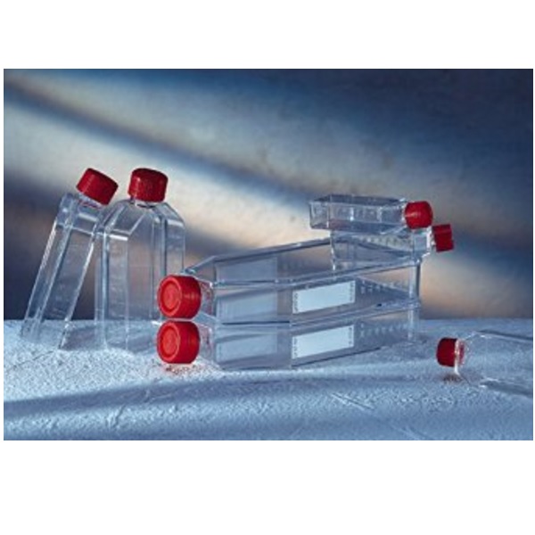 Cell culture Flasks בקבוקי גידול תאים